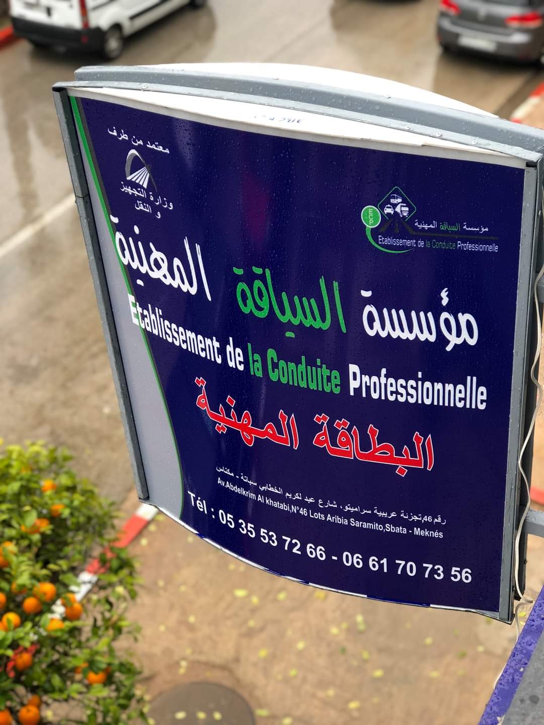 FB_IMG_1645911093394